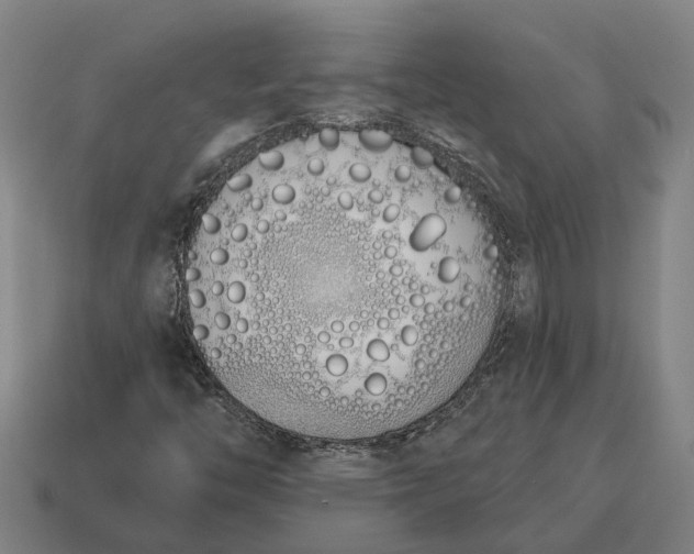 X0000115111446200911101555