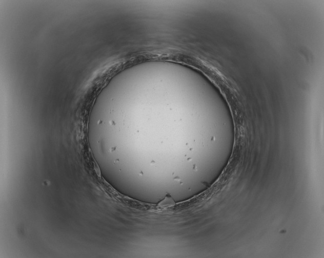 X0000115111447200911101555