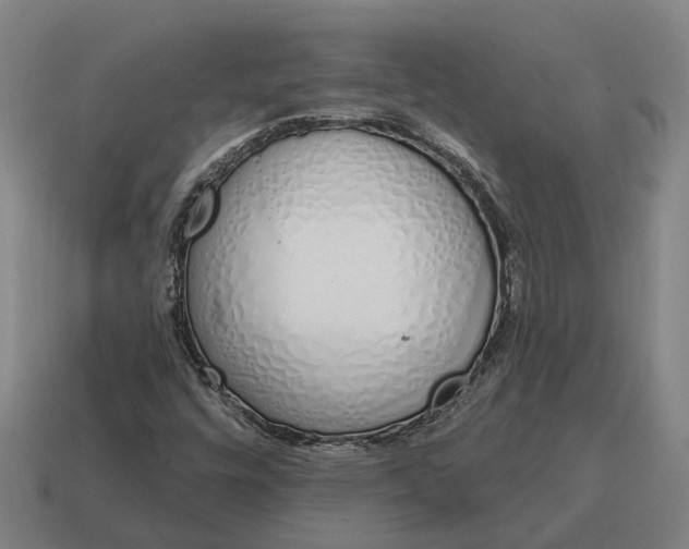 X0000115111448200911101555