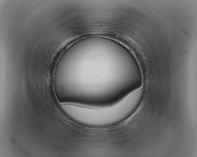 X0000115111449200911101555