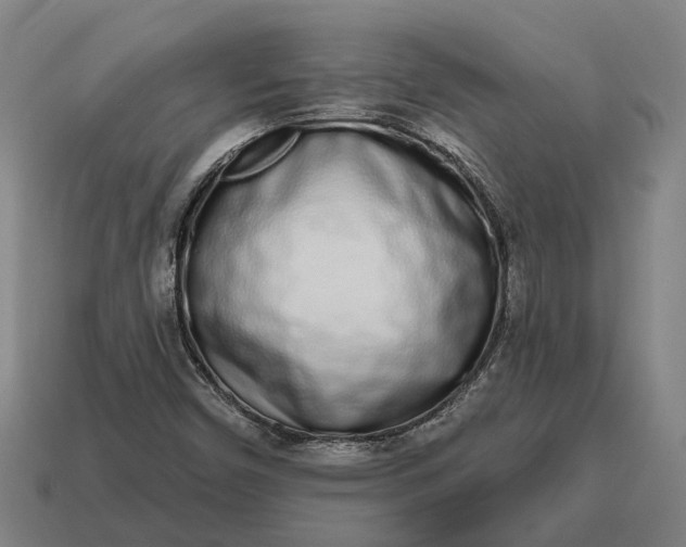 X0000115111450200911101555