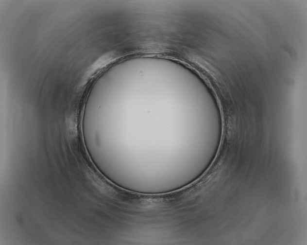 X0000115111451200911101555
