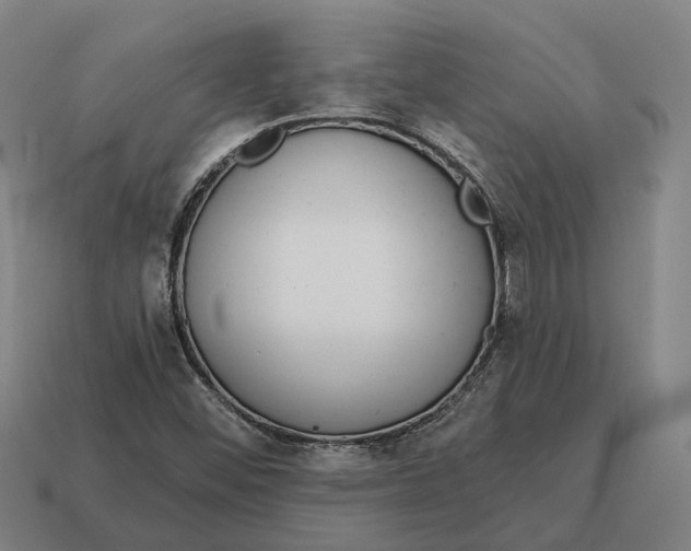 X0000115111452200911101555