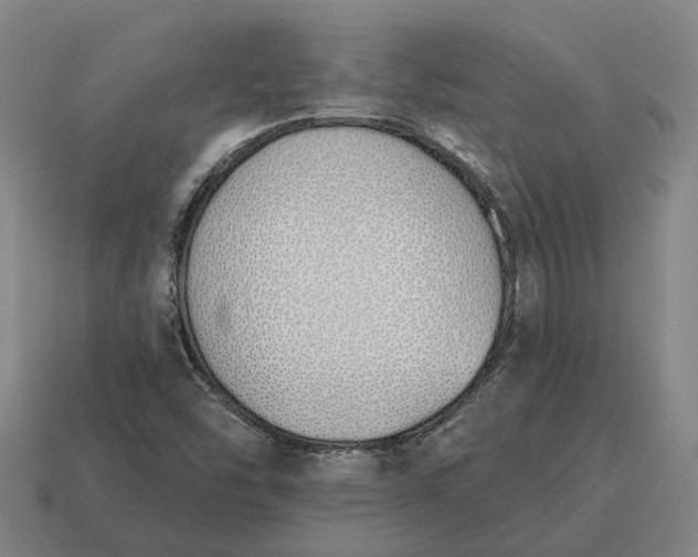 X0000115111454200911101555