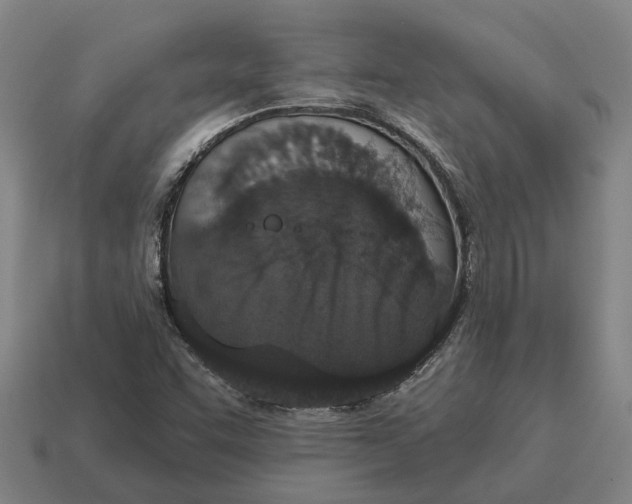 X0000115111455200911101555