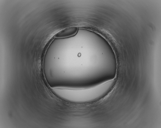 X0000115111457200911101555