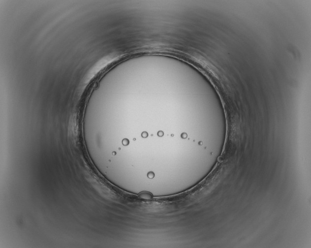 X0000115111458200911101555