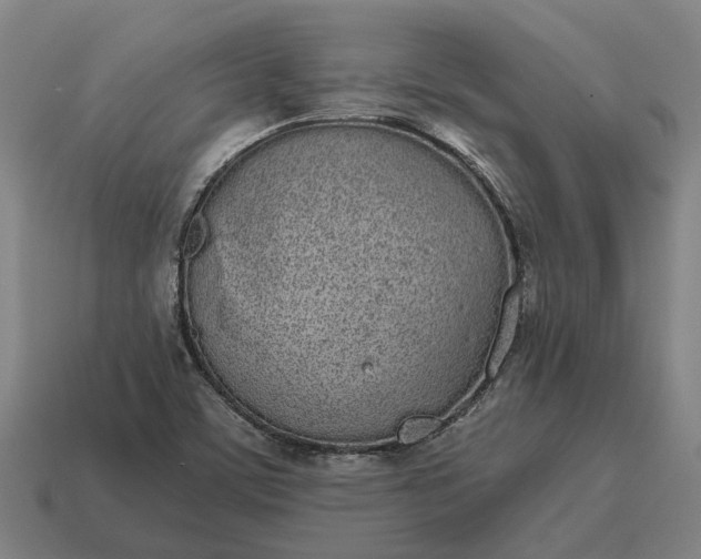 X0000115111459200911101555