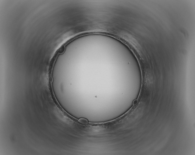 X0000115111460200911101555