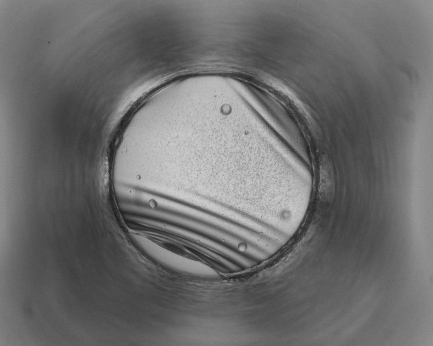 X0000115111461200911101555