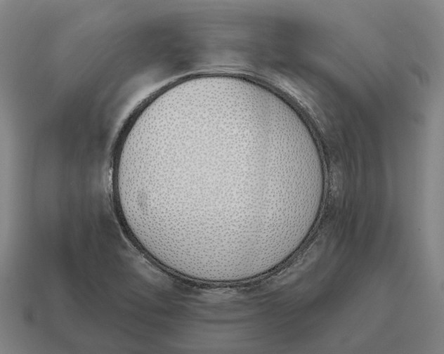 X0000115111462200911101555