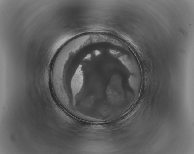 X0000115111463200911101555