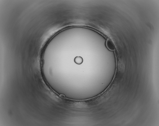 X0000115111464200911101555