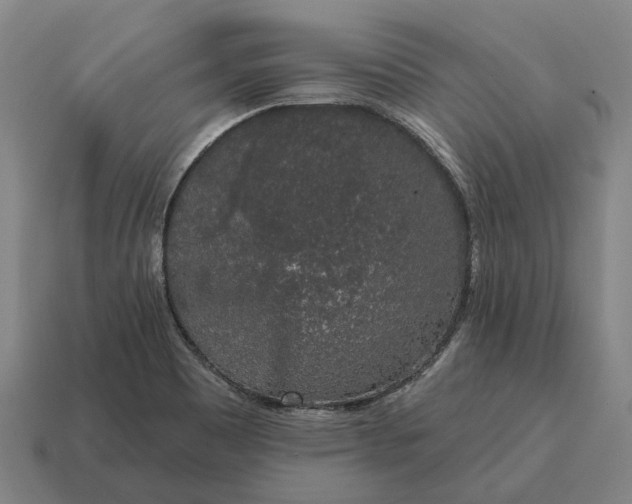X0000115111465200911101555