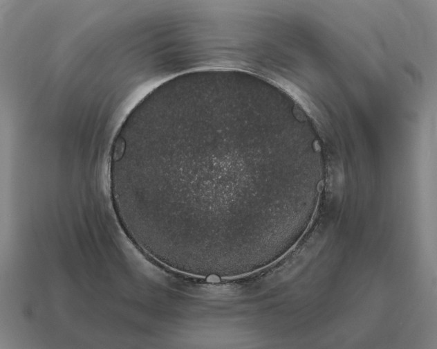 X0000115111468200911101555