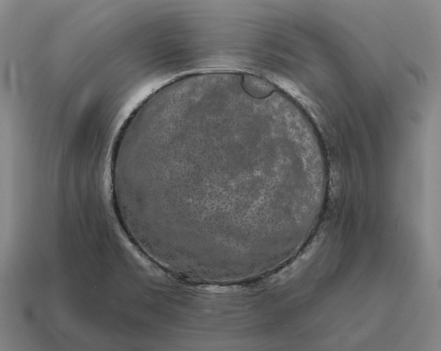 X0000115111469200911101555