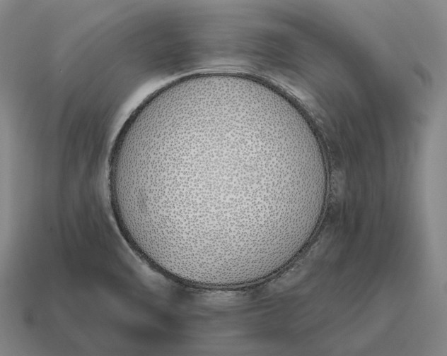 X0000115111470200911101555