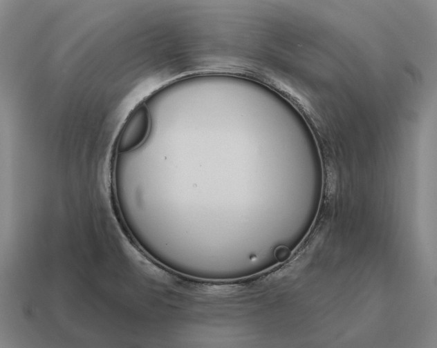 X0000115111471200911101555