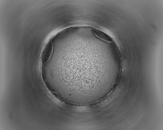 X0000115111472200911101555