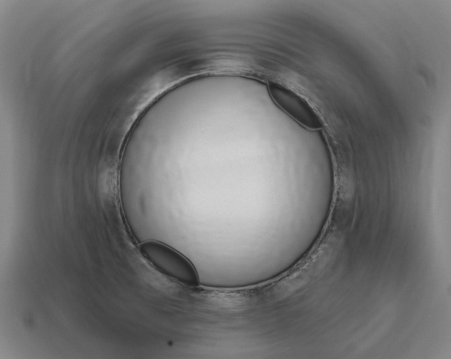 X0000115111473200911101555