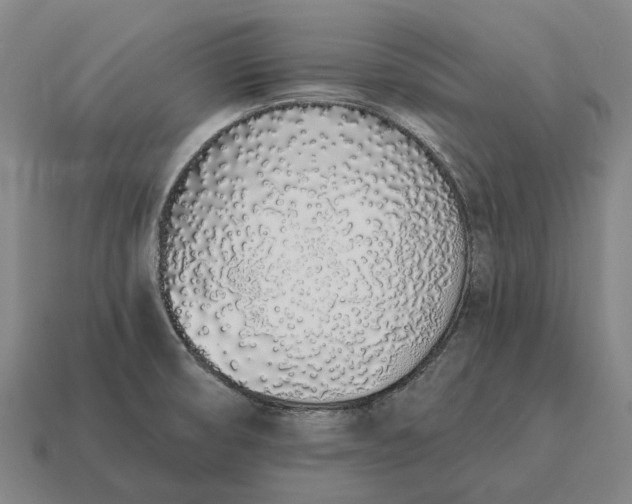 X0000115111474200911101555