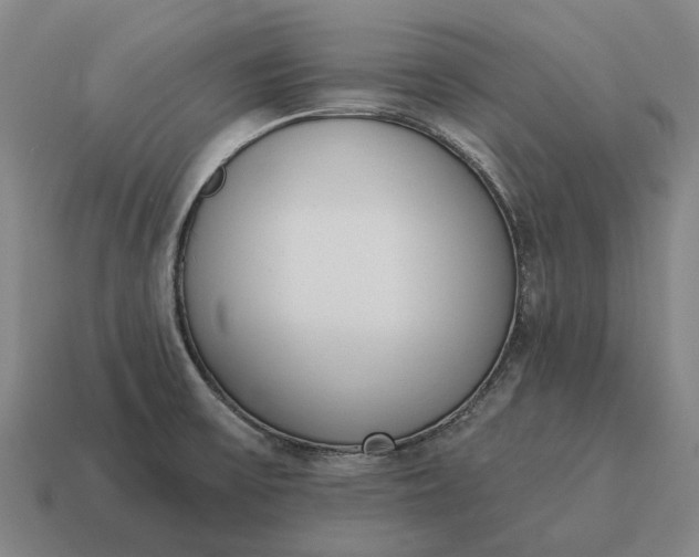 X0000115111475200911101555