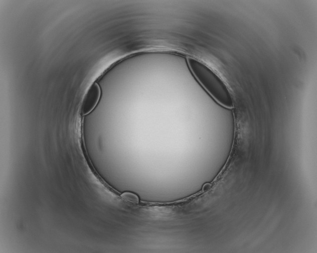 X0000115111476200911101555