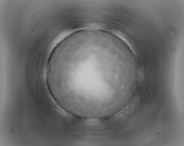 X0000115111477200911101555