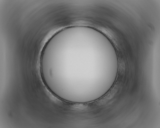 X0000115111478200911101555