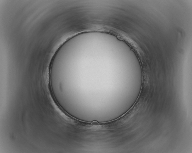 X0000115111479200911101555