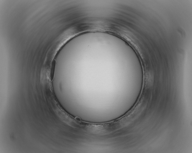 X0000115111481200911101555
