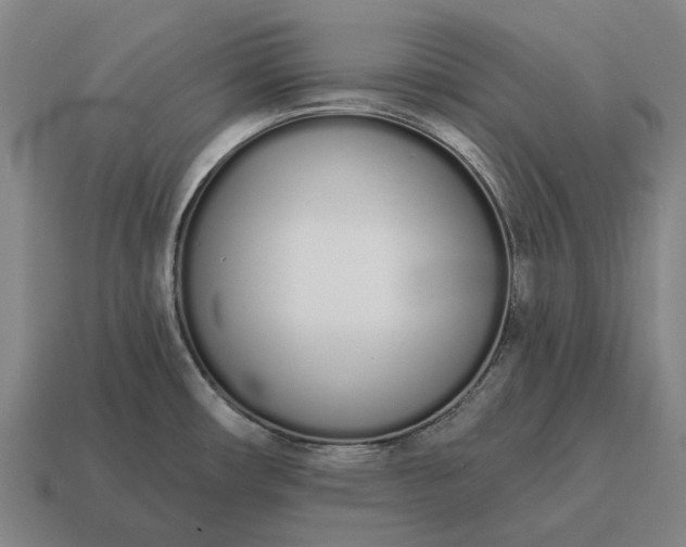 X0000115111482200911101555