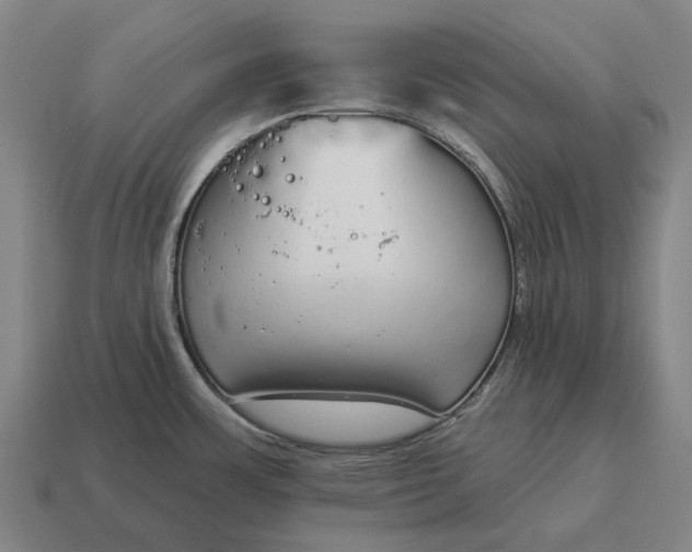 X0000115111483200911101555