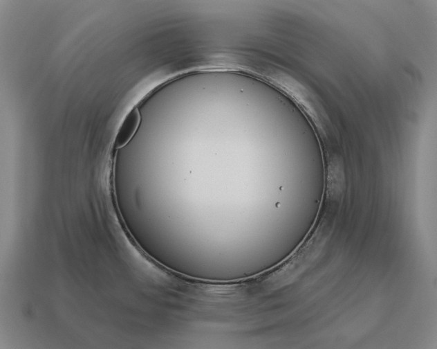 X0000115111484200911101555