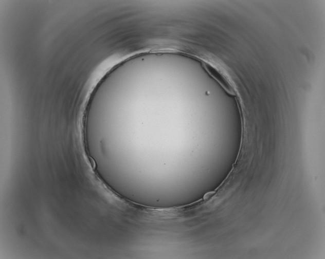 X0000115111488200911101555