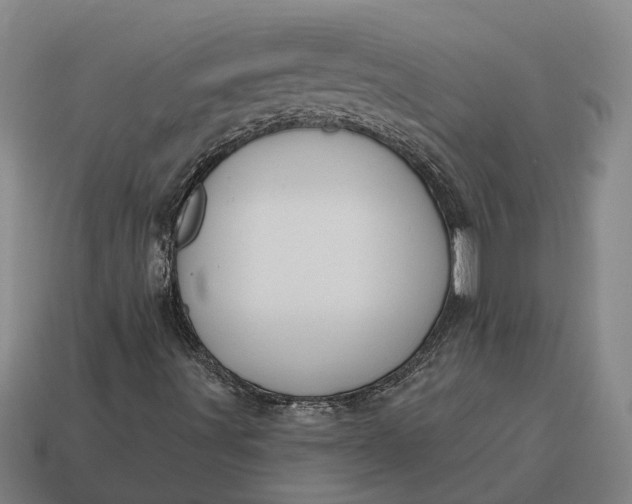 X0000115111491200911101554