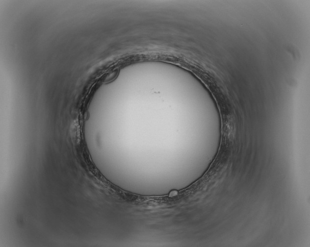 X0000115111493200911101554
