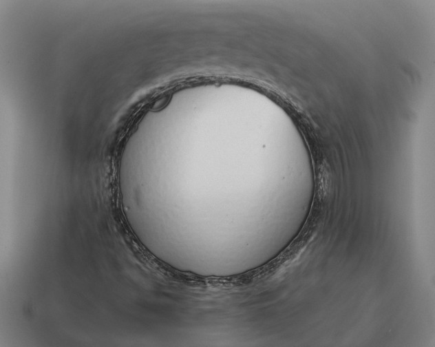X0000115111494200911101554