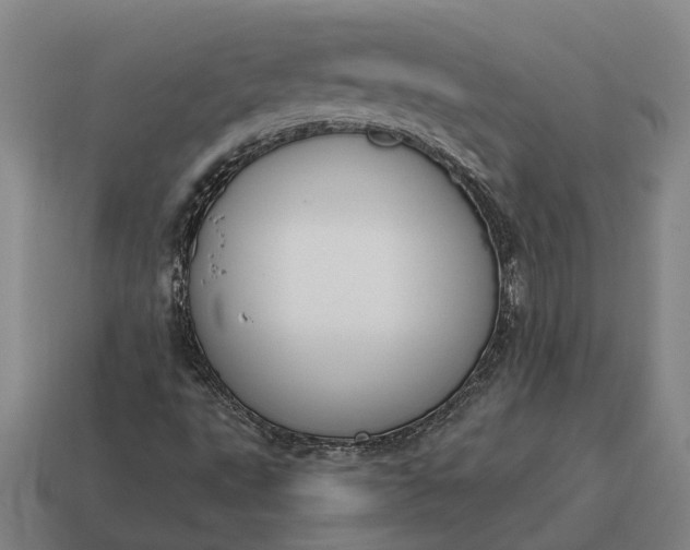 X0000115111495200911101554