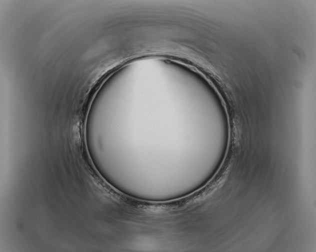 X0000115111497200911101554