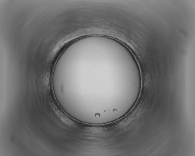 X0000115111499200911101554