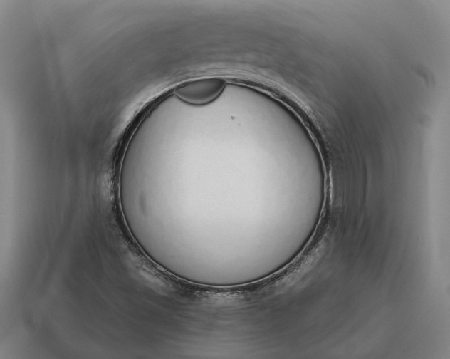 X0000115111501200911101554