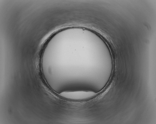 X0000115111502200911101554