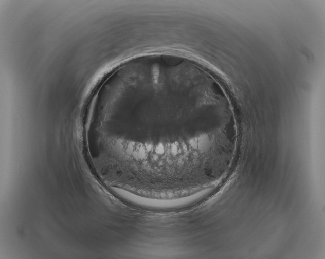 X0000115111506200911101554
