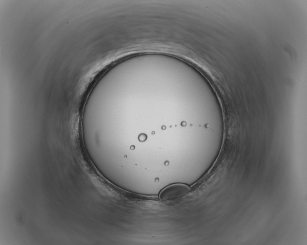 X0000115111507200911101554