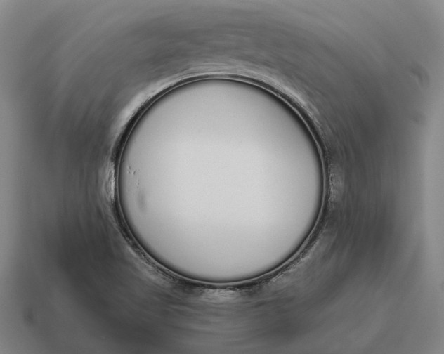 X0000115111509200911101554