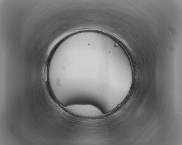 X0000115111510200911101554