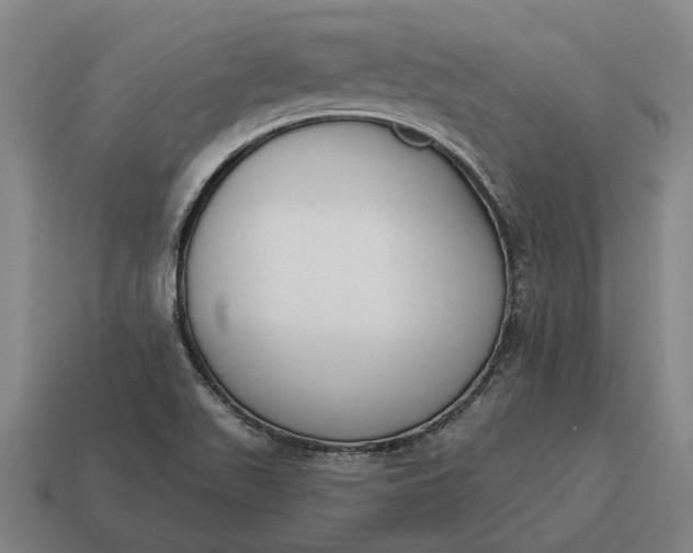 X0000115111511200911101554