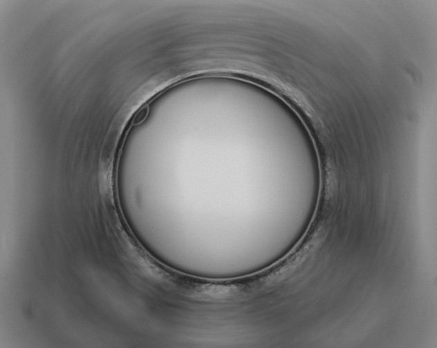 X0000115111513200911101554