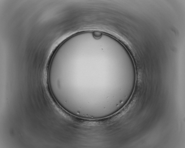 X0000115111517200911101554